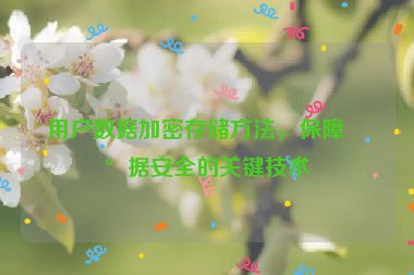 用戶數(shù)據(jù)加密存儲方法，保障數(shù)據(jù)安全的關鍵技術