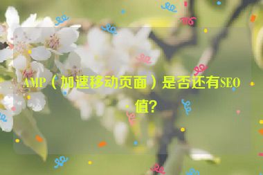 AMP（加速移動(dòng)頁(yè)面）是否還有SEO價(jià)值？