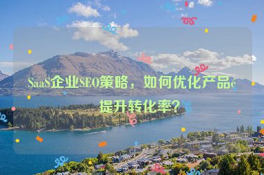 SaaS企業(yè)SEO策略，如何優(yōu)化產品頁提升轉化率？