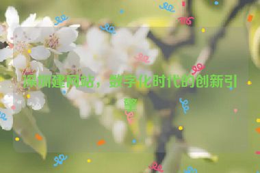 深圳建網(wǎng)站，數(shù)字化時代的創(chuàng)新引擎