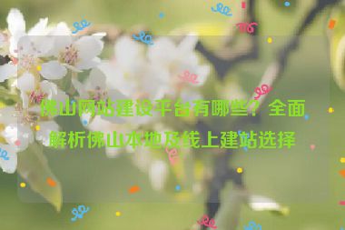 佛山網(wǎng)站建設(shè)平臺有哪些？全面解析佛山本地及線上建站選擇