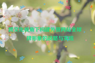 跨文化視角下構(gòu)建外貿(mào)網(wǎng)站全球品牌形象的戰(zhàn)略與實(shí)踐