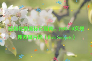 結(jié)構(gòu)化數(shù)據(jù)標(biāo)記指南，JSON-LD實(shí)現(xiàn)搜索富片段（Rich Snippets）