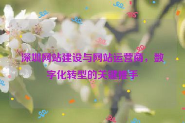深圳網(wǎng)站建設(shè)與網(wǎng)站運(yùn)營商，數(shù)字化轉(zhuǎn)型的關(guān)鍵推手