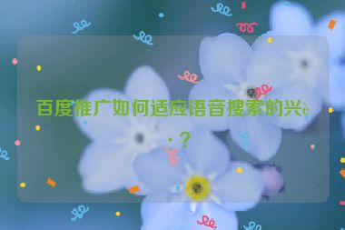 百度推廣如何適應語音搜索的興起？