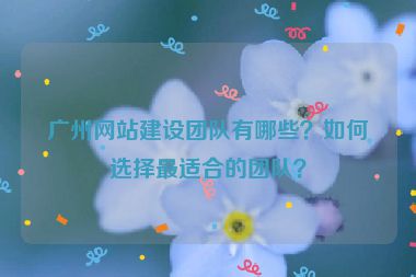 廣州網(wǎng)站建設(shè)團(tuán)隊(duì)有哪些？如何選擇最適合的團(tuán)隊(duì)？