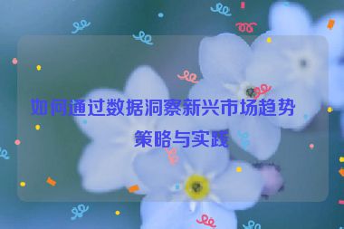 如何通過數(shù)據(jù)洞察新興市場趨勢，策略與實(shí)踐