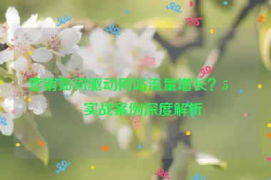 營銷如何驅(qū)動網(wǎng)站流量增長？5個實戰(zhàn)案例深度解析