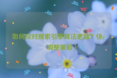 如何應(yīng)對搜索引擎算法更新？快速調(diào)整策略）