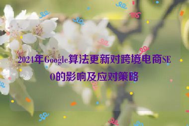 2024年Google算法更新對(duì)跨境電商SEO的影響及應(yīng)對(duì)策略