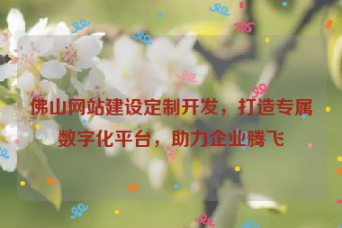 佛山網(wǎng)站建設(shè)定制開(kāi)發(fā)，打造專屬數(shù)字化平臺(tái)，助力企業(yè)騰飛