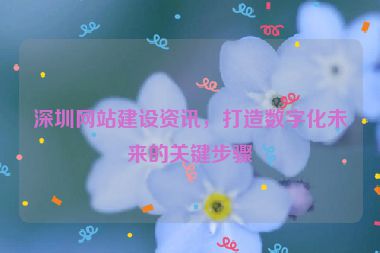 深圳網(wǎng)站建設(shè)資訊，打造數(shù)字化未來的關(guān)鍵步驟