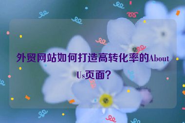 外貿(mào)網(wǎng)站如何打造高轉(zhuǎn)化率的About Us頁面？