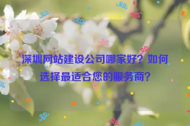 深圳網(wǎng)站建設(shè)公司哪家好？如何選擇最適合您的服務(wù)商？