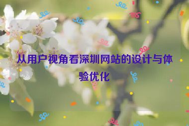 從用戶視角看深圳網(wǎng)站的設(shè)計與體驗優(yōu)化