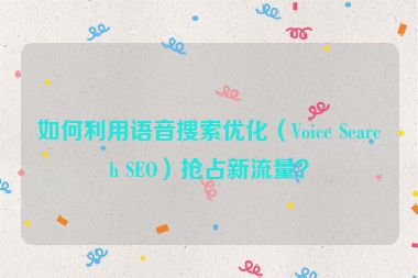 如何利用語音搜索優(yōu)化（Voice Search SEO）搶占新流量？