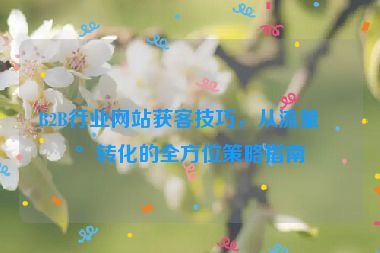 B2B行業(yè)網(wǎng)站獲客技巧，從流量到轉(zhuǎn)化的全方位策略指南