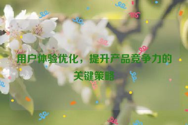 用戶體驗優(yōu)化，提升產(chǎn)品競爭力的關(guān)鍵策略