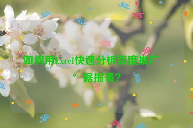 如何用Excel快速分析百度推廣數(shù)據(jù)報(bào)表？