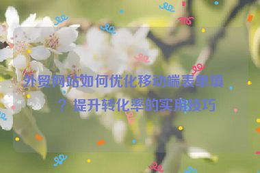 外貿(mào)網(wǎng)站如何優(yōu)化移動端表單填寫？提升轉(zhuǎn)化率的實用技巧