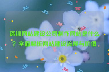 深圳網(wǎng)站建設(shè)公司制作網(wǎng)站是什么？全面解析網(wǎng)站建設(shè)流程與價(jià)值