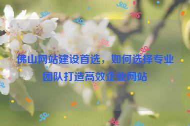 佛山網(wǎng)站建設(shè)首選，如何選擇專業(yè)團隊打造高效企業(yè)網(wǎng)站
