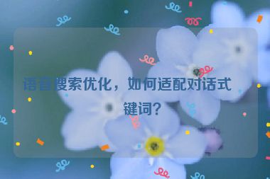 語(yǔ)音搜索優(yōu)化，如何適配對(duì)話(huà)式關(guān)鍵詞？