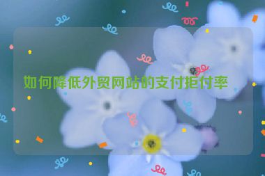 如何降低外貿(mào)網(wǎng)站的支付拒付率？