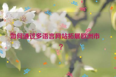 如何通過多語言網(wǎng)站拓展歐洲市場？