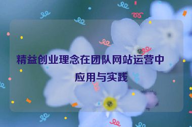 精益創(chuàng)業(yè)理念在團隊網(wǎng)站運營中的應(yīng)用與實踐