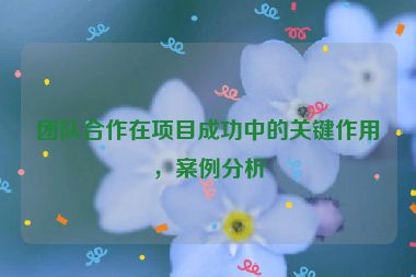 團隊合作在項目成功中的關(guān)鍵作用，案例分析