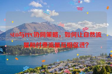 SEO與PPC協(xié)同策略，如何讓自然流量和付費流量互相促進(jìn)？