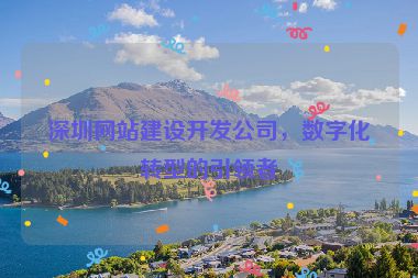 深圳網(wǎng)站建設(shè)開發(fā)公司，數(shù)字化轉(zhuǎn)型的引領(lǐng)者