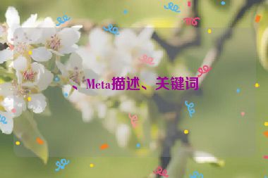 、Meta描述、關鍵詞