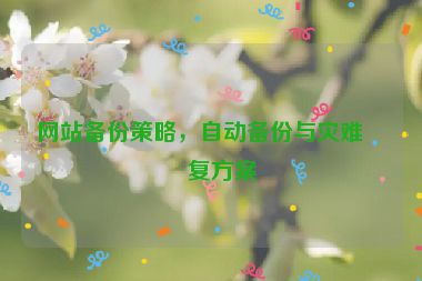 網站備份策略，自動備份與災難恢復方案
