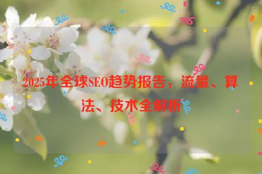 2025年全球SEO趨勢報(bào)告，流量、算法、技術(shù)全解析