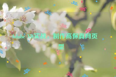 Adobe XD實戰(zhàn)，制作高保真網(wǎng)頁原型