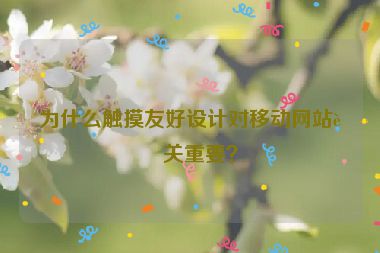 為什么觸摸友好設(shè)計(jì)對(duì)移動(dòng)網(wǎng)站至關(guān)重要？