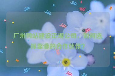 廣州網(wǎng)站建設(shè)正規(guī)公司，如何選擇靠譜的合作伙伴？