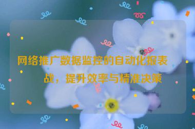 網(wǎng)絡(luò)推廣數(shù)據(jù)監(jiān)控的自動化報表實(shí)戰(zhàn)，提升效率與精準(zhǔn)決策