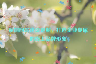 深圳網(wǎng)站建設(shè)定制，打造企業(yè)專屬的線上品牌形象
