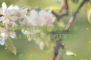 外貿(mào)網(wǎng)站的本地化內(nèi)容創(chuàng)作，提升全球市場影響力的關(guān)鍵策略
