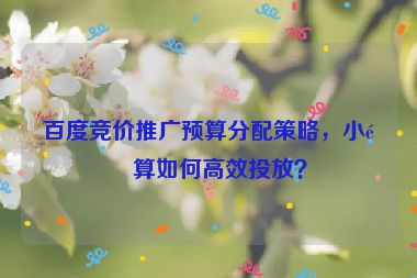 百度競價(jià)推廣預(yù)算分配策略，小預(yù)算如何高效投放？