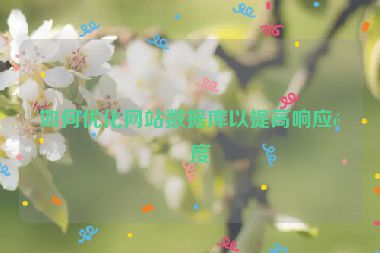 如何優(yōu)化網(wǎng)站數(shù)據(jù)庫(kù)以提高響應(yīng)速度