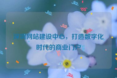 深圳網(wǎng)站建設(shè)中心，打造數(shù)字化時代的商業(yè)門戶