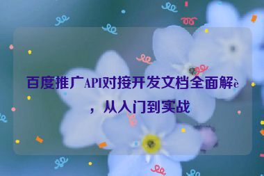 百度推廣API對接開發(fā)文檔全面解讀，從入門到實(shí)戰(zhàn)