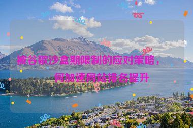被谷歌沙盒期限制的應(yīng)對(duì)策略，如何加速網(wǎng)站排名提升
