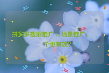 拼多多搜索推廣 vs 場(chǎng)景推廣，哪個(gè)更有效？