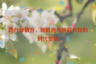 跨行業(yè)融合，新機遇與挑戰(zhàn)并存的時代變革