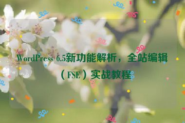 WordPress 6.5新功能解析，全站編輯（FSE）實戰(zhàn)教程